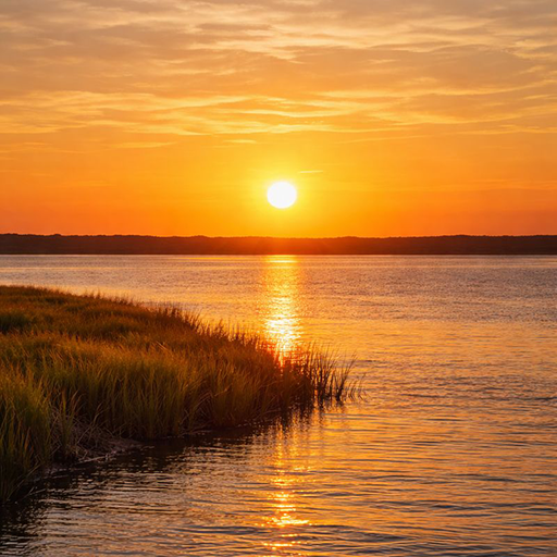 The great golden sun hovering in the middle